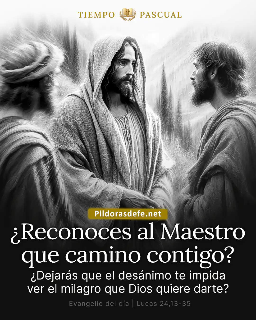 Evangelio del día Lucas 24,13-35: Reconocieron a Jesús al partir el pan